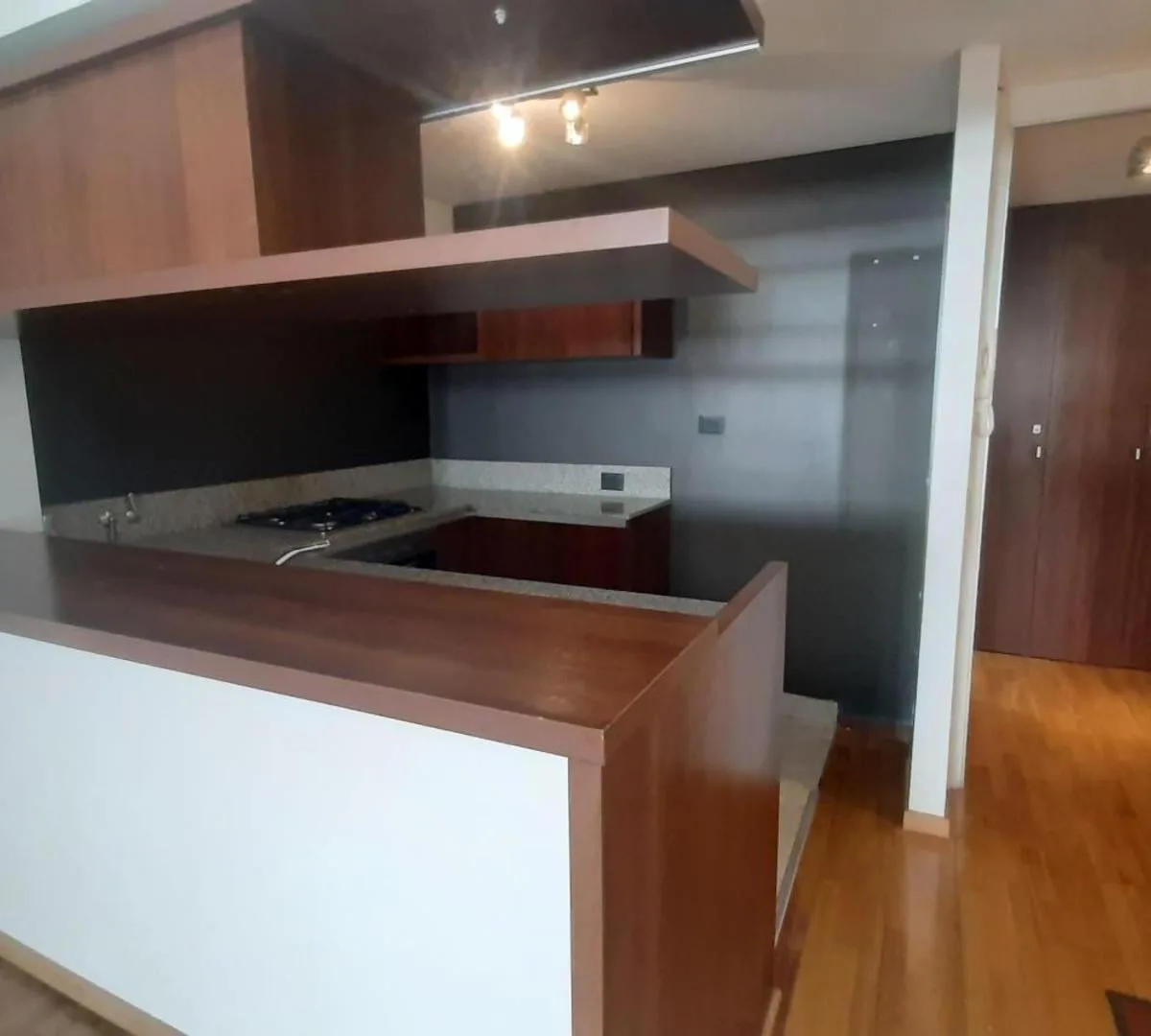 Amplio Monoambiente Balcón, Vestidor, Piscina, y Parrilla