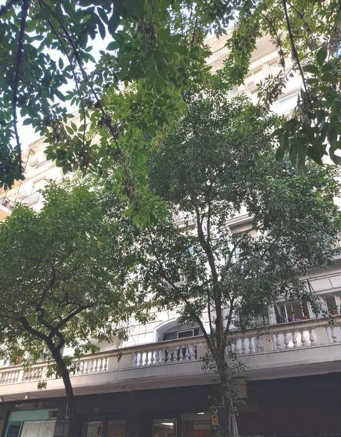 Studio para os fundos, banheiro renovado