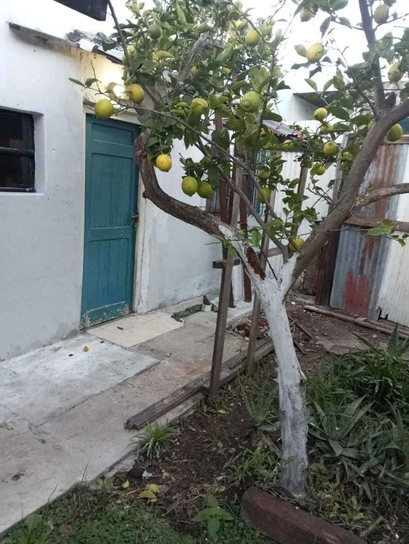 Departamento PH en Alquiler en Virreyes, San Fernando, G. B. a. Zona Norte
