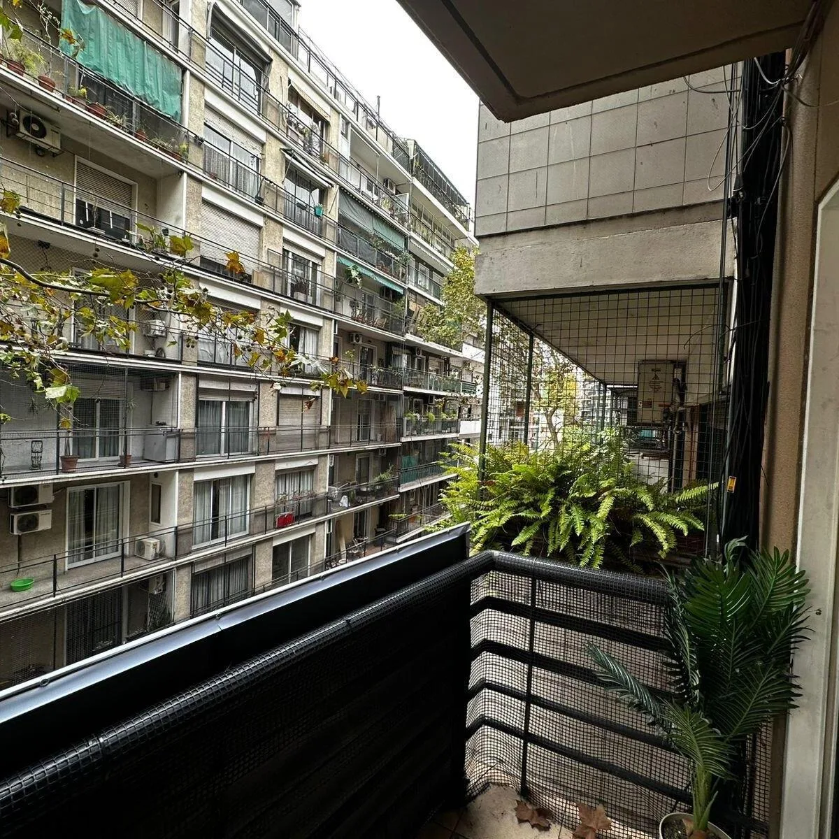 Житло: Студія, Recoleta