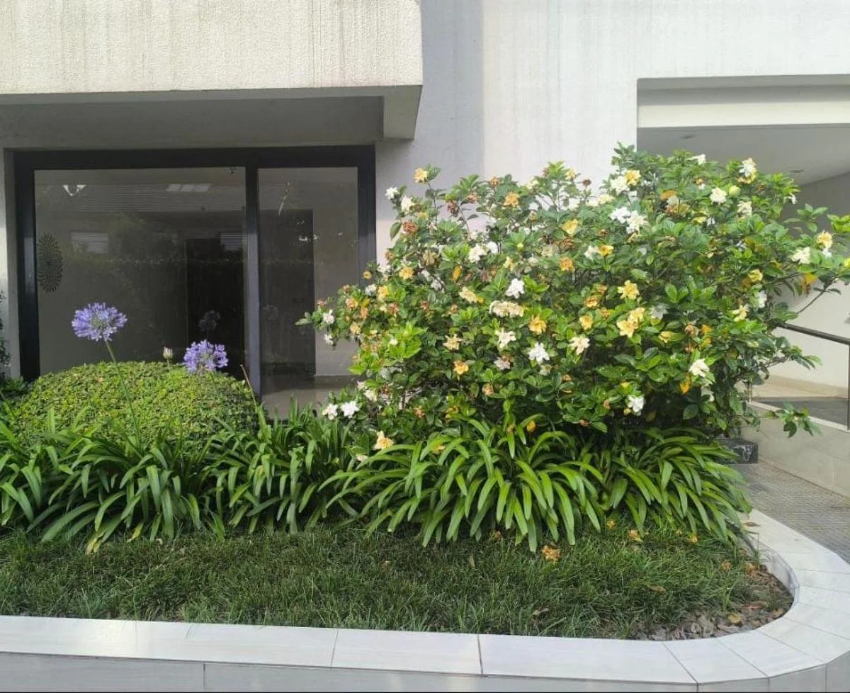 Studio térreo 32 m²