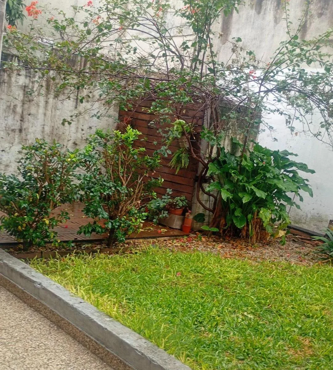 [alquiler] PH al Frente de 3 Ambientes con Patio y Espacio Verde