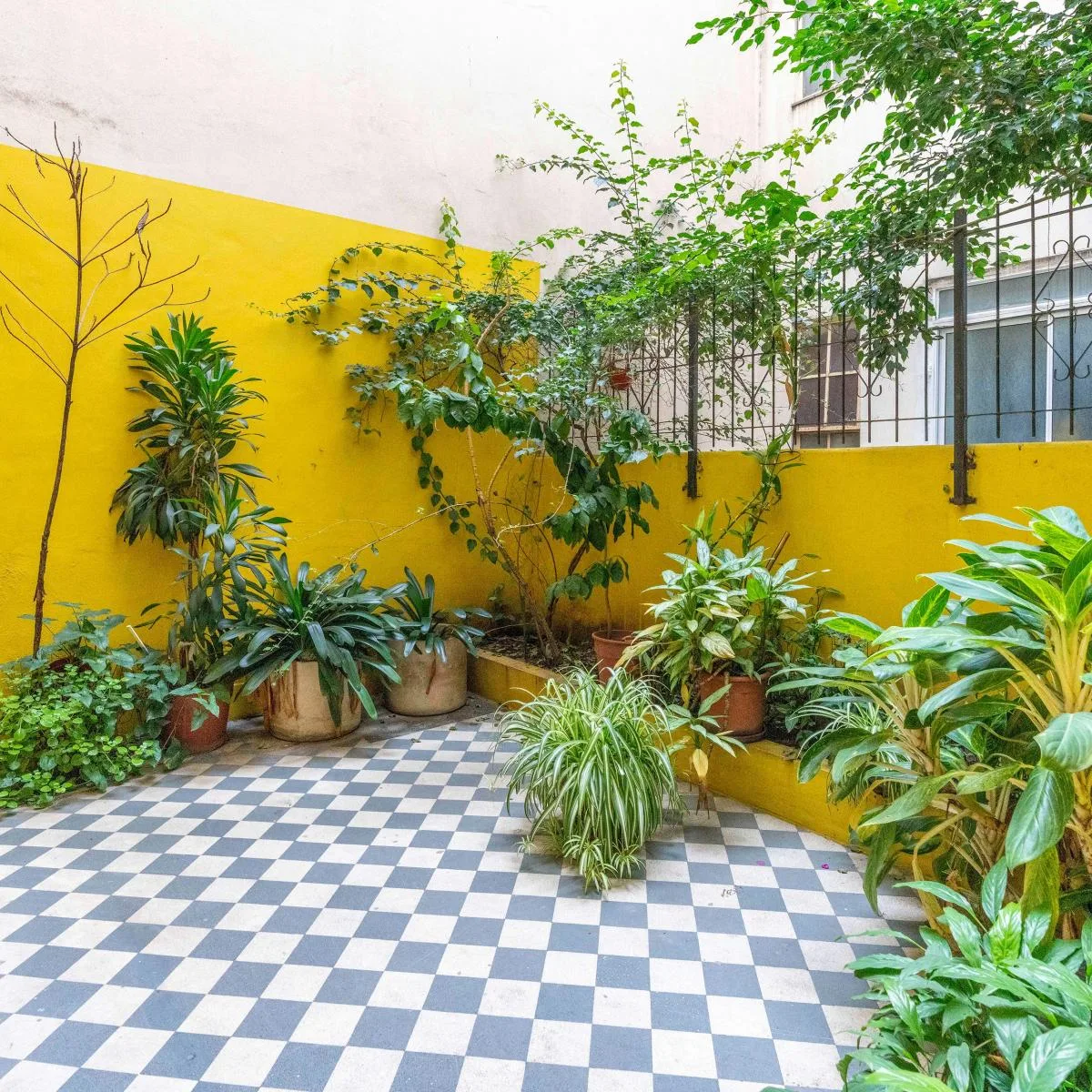4 rooms with 16 m² patio