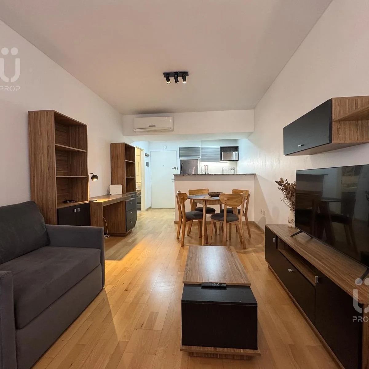 Жилье: Студия, Colegiales