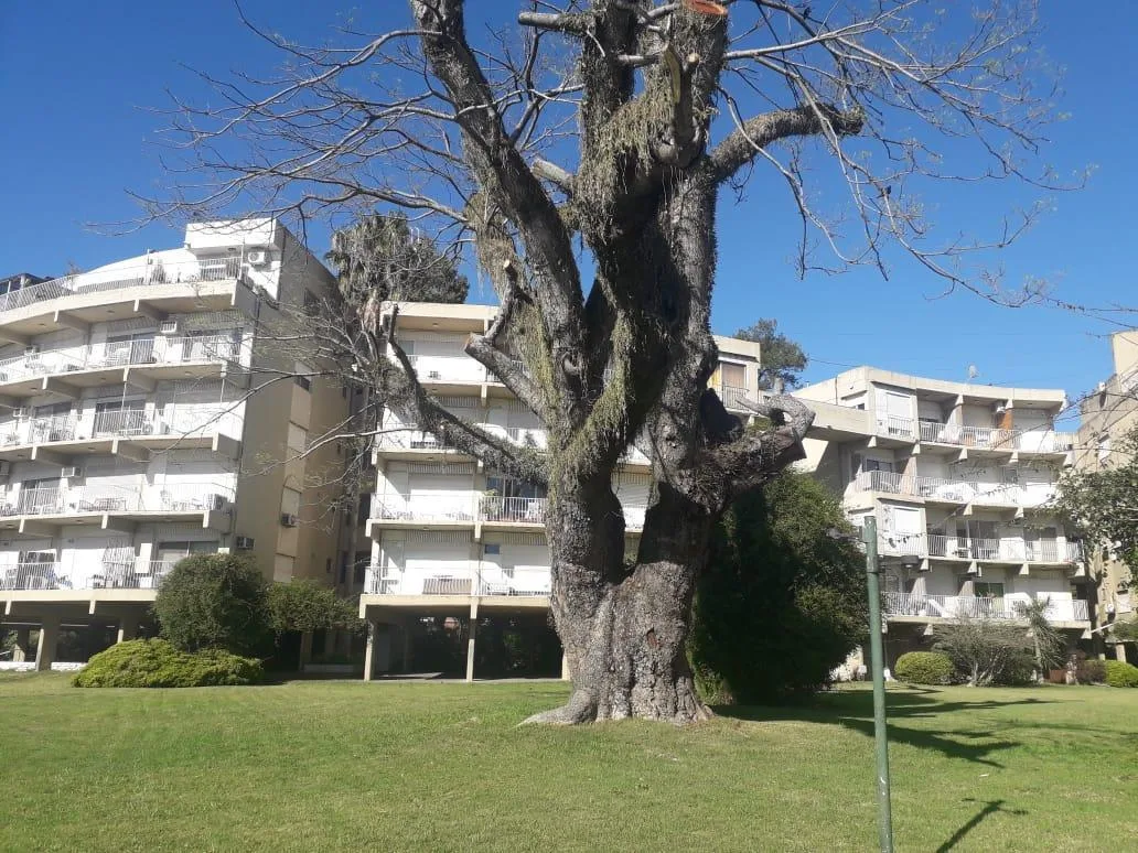 Departamento en Tigre. Coloraddo Conchas 97 Piso 3