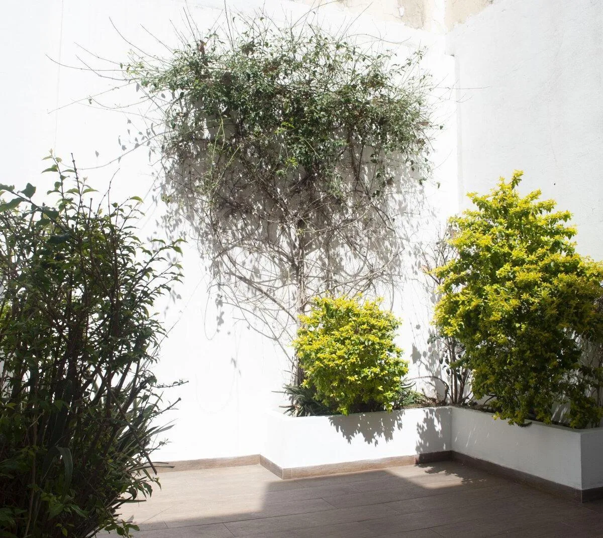 PH 2 Ambientes con Patio de 20 m&sup2; - Sin Expensas - en Agronomia (Límite Parque Chas)