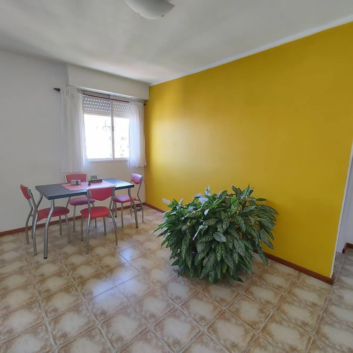 Dr. Eleodoro Lobos 200 Alquiler Departamento 2 Ambientes Caballito Vista Panoramica
