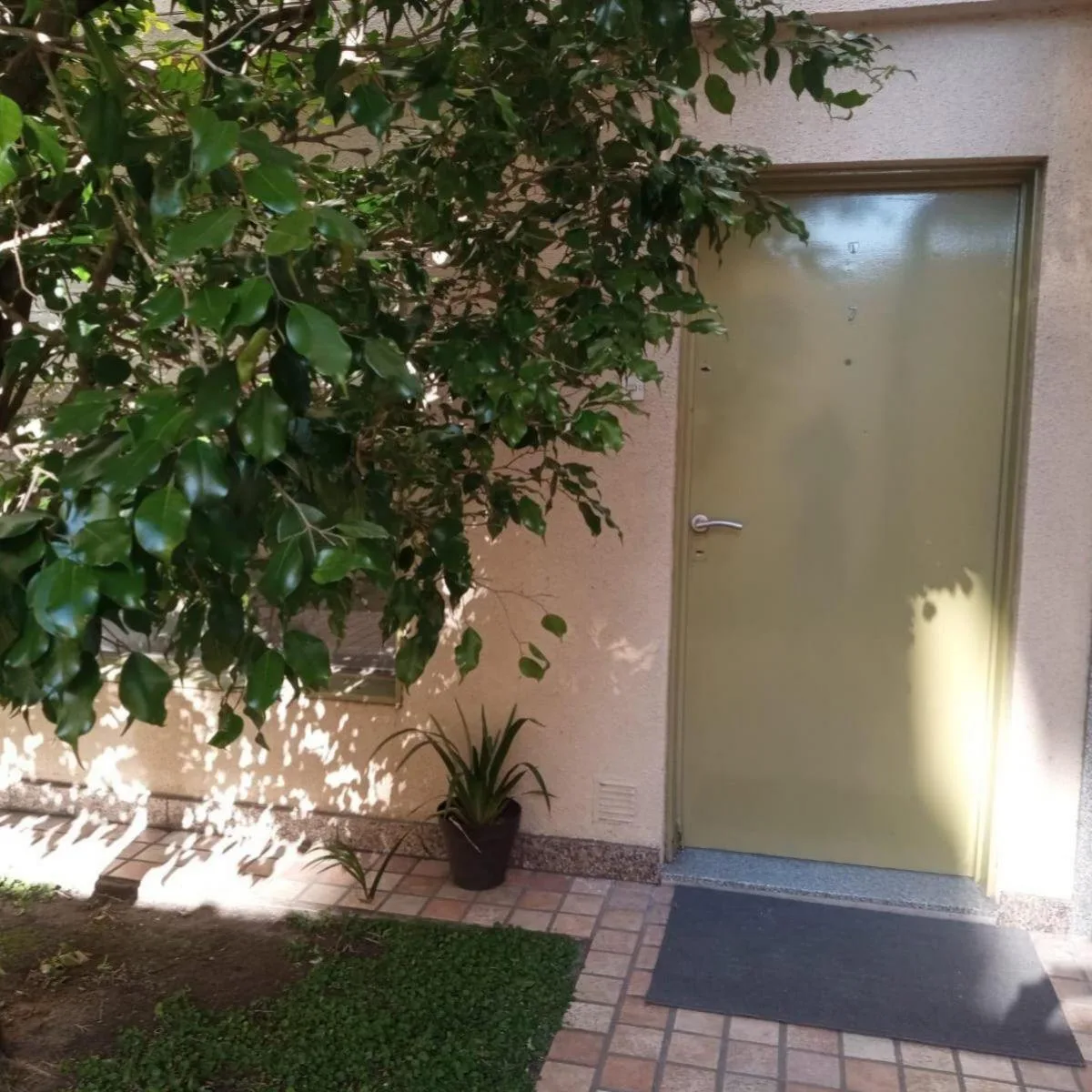 Departamento en planta baja