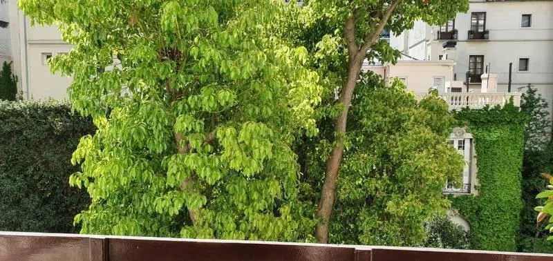Departamento en Alquiler en Recoleta