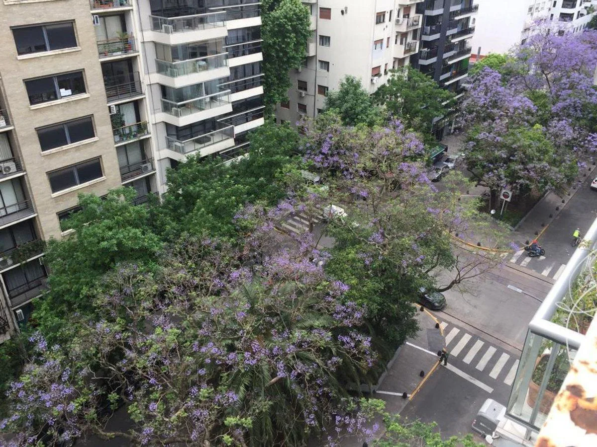 Alquiler Dpto 2 Ambientes Palermo Balcon Apto Prof