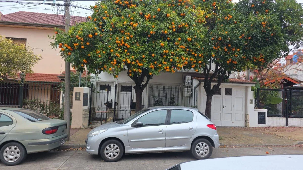 Balcón, patio y jardín