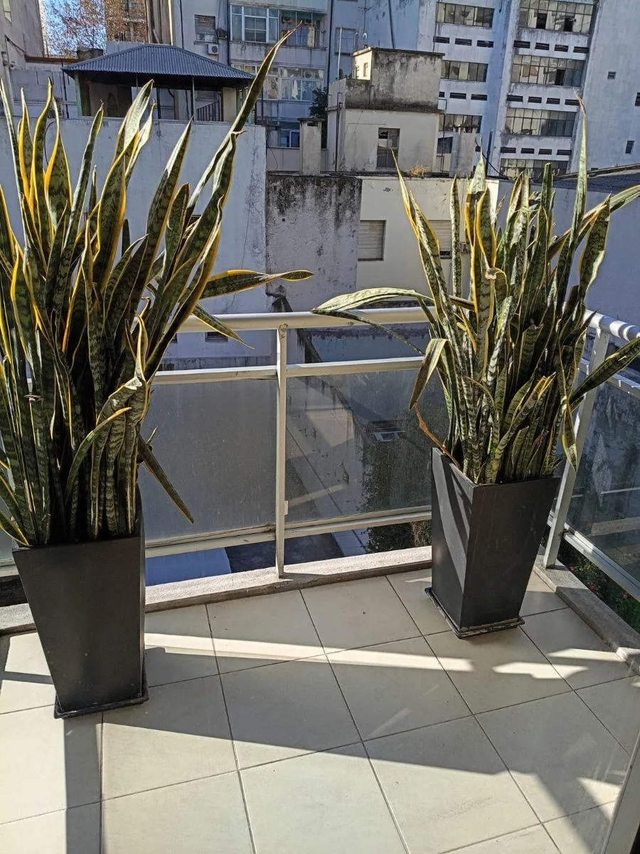 Monoambiente amoblado con balcón