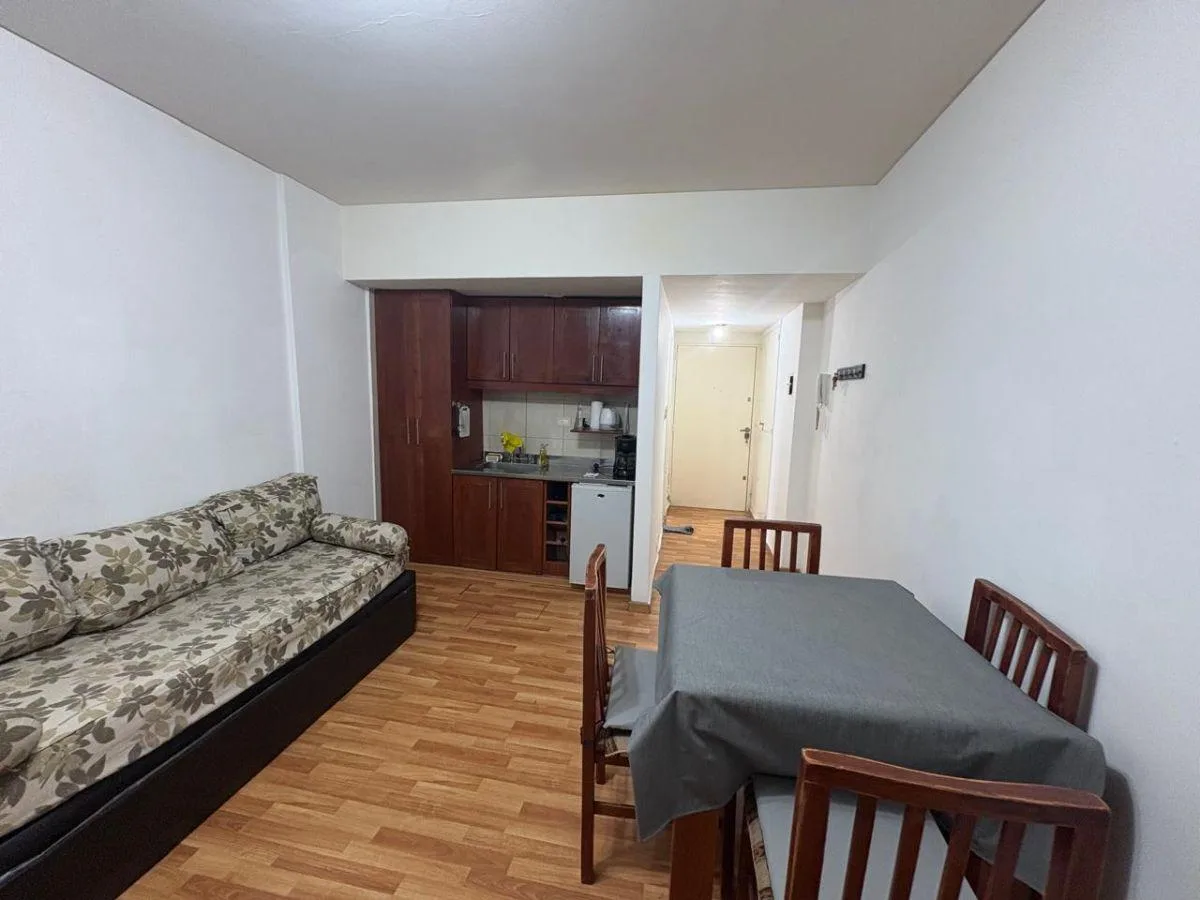 Amoblado monoambiente, Apto profesional