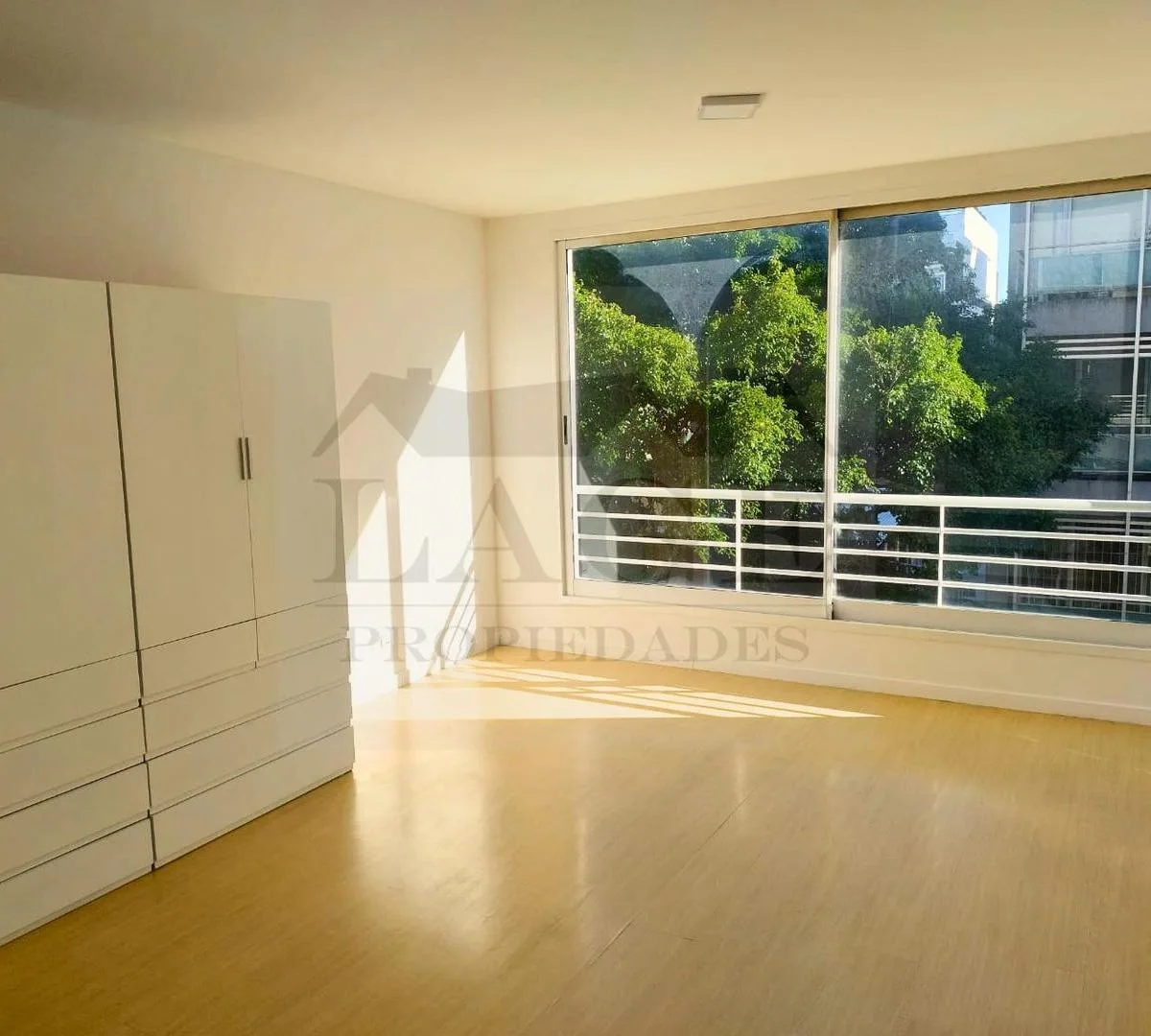 North-facing front studio