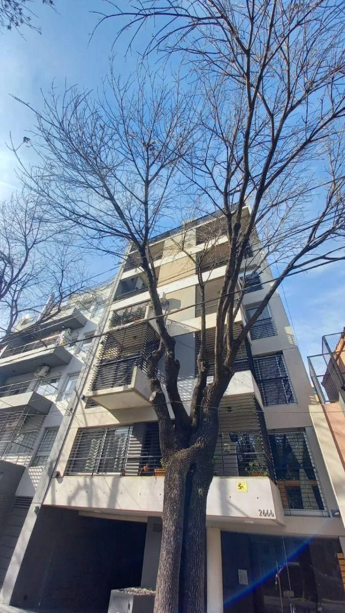 Listing: 1 bedroom, Parque Chas