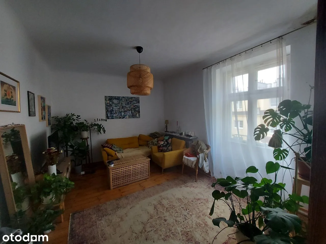 Wynajmę Mieszkanie 67m Ochota