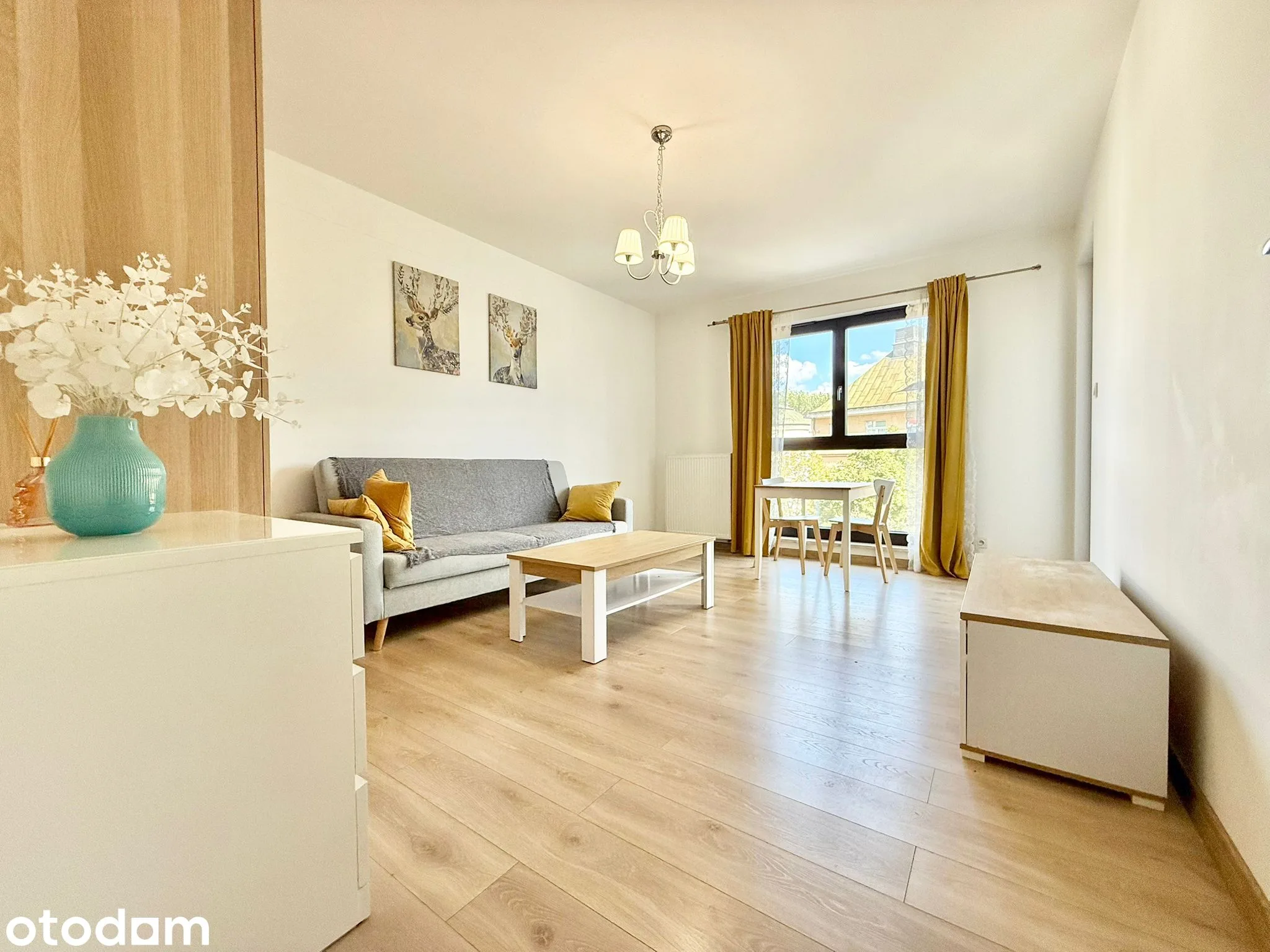 50 m² apartment, balcony