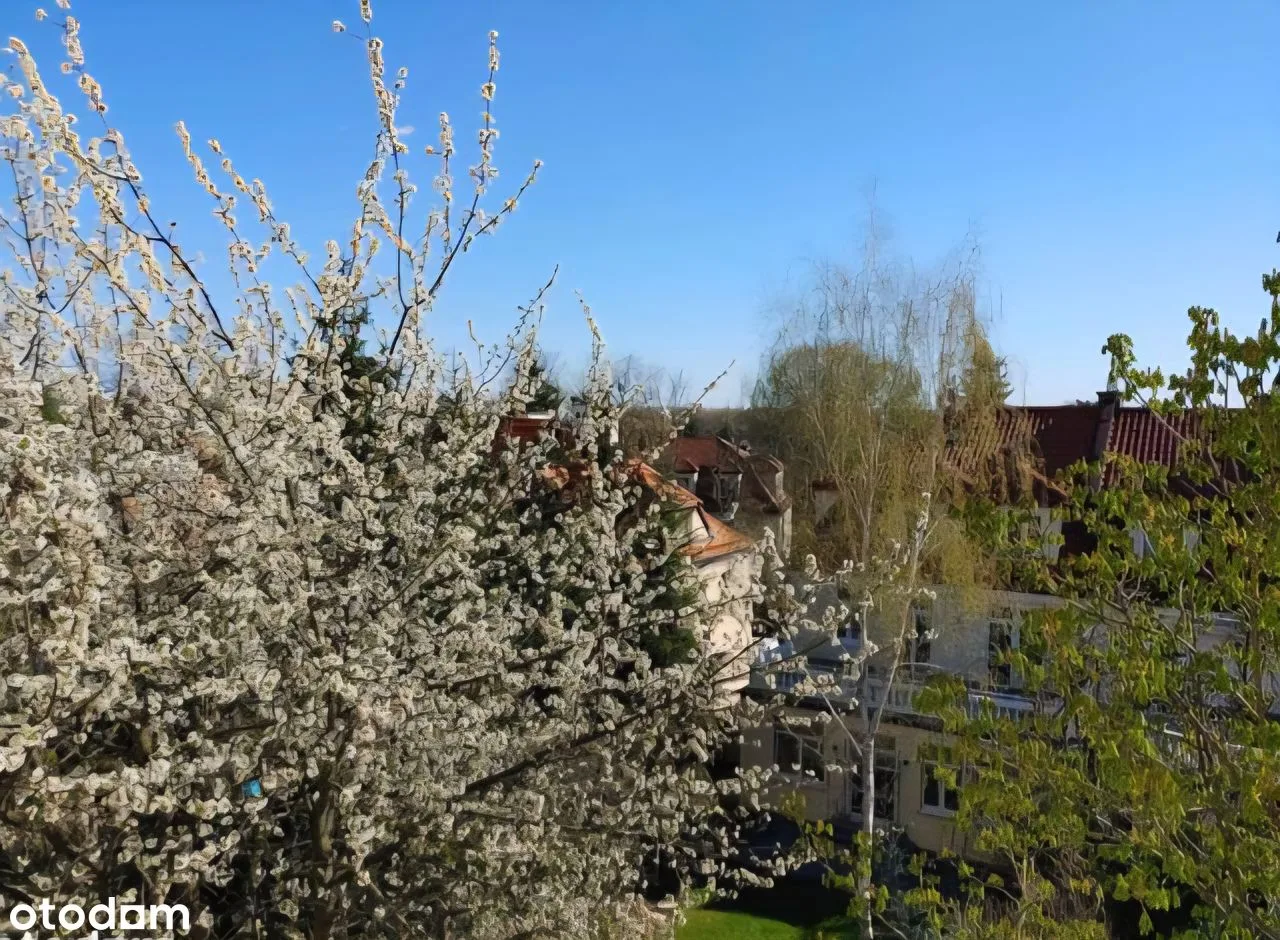 Bezpośrednio, 2 pokoje, Żoliborz, plac Wilsona