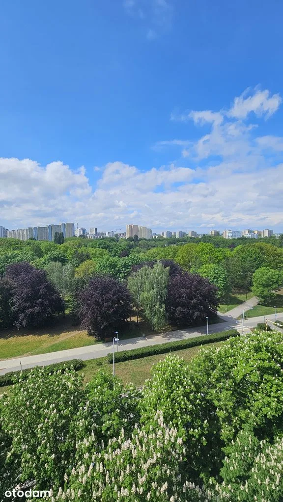 Квартира 39 м², балкон