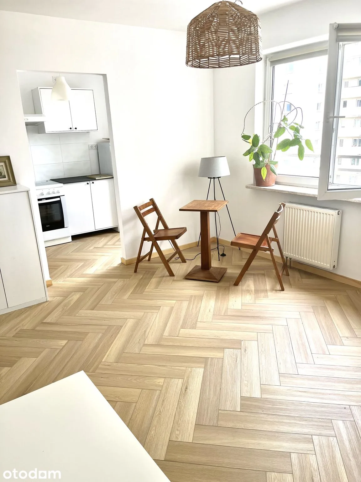33 m² studio, separate kitchen