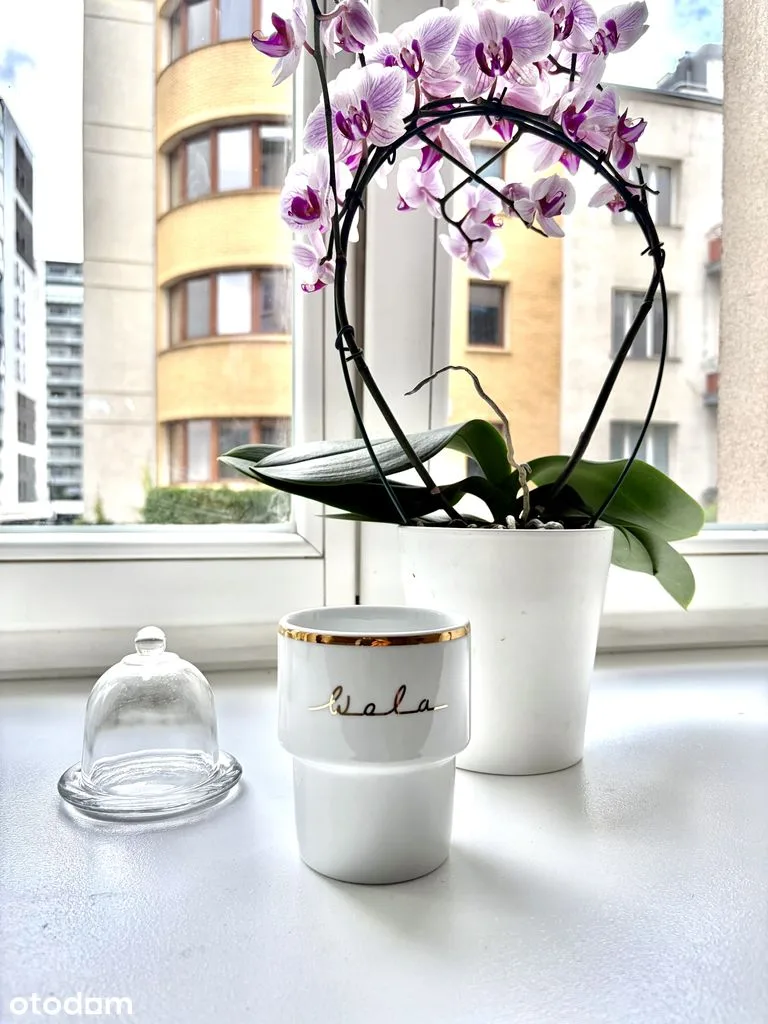 Mieszkanie 1-pokojowe Rondo Daszyńskiego balkon po remoncie