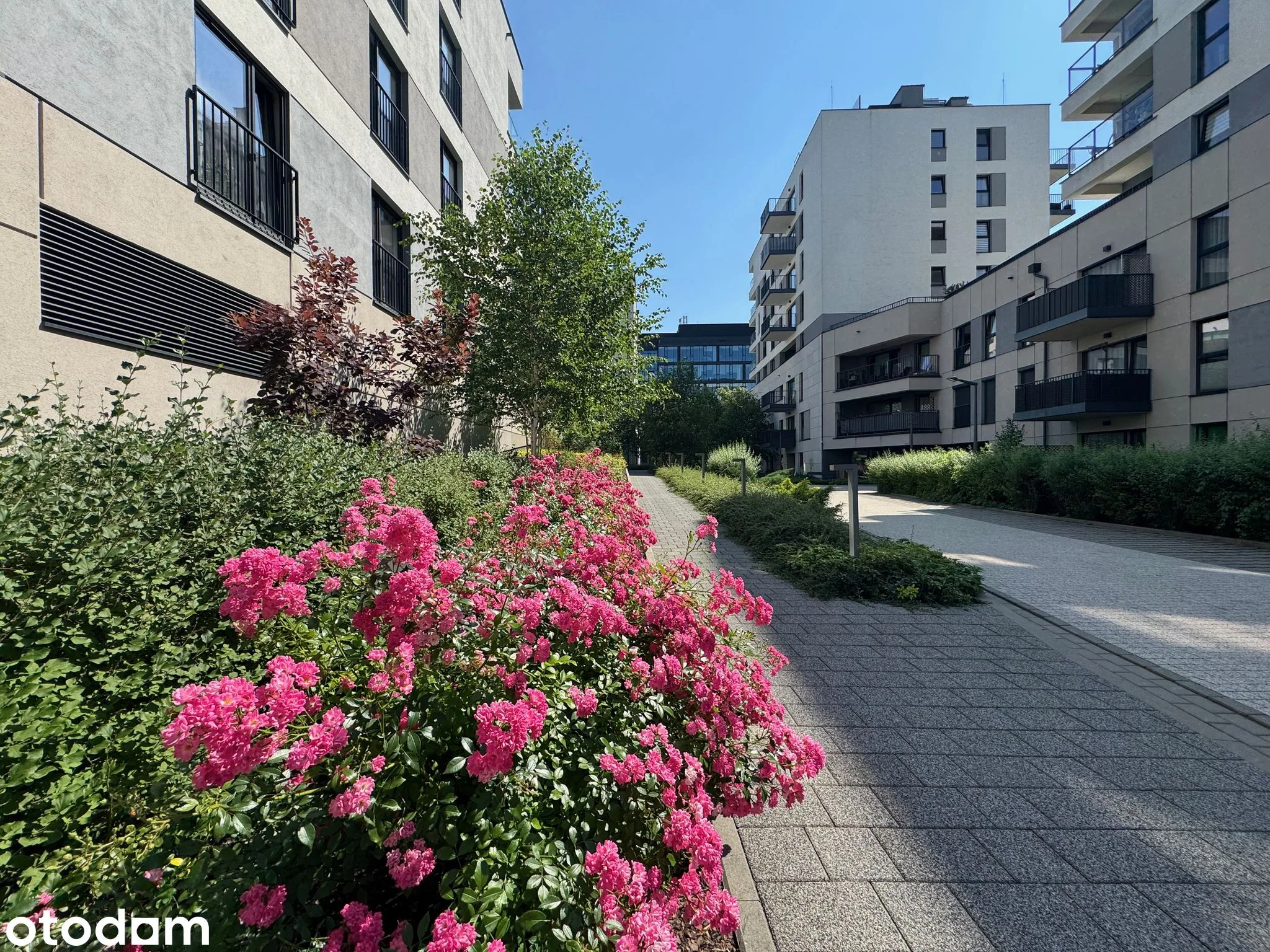 Komfortowe mieszkanie 55 m² z ogródkiem – ul. Gandalfa