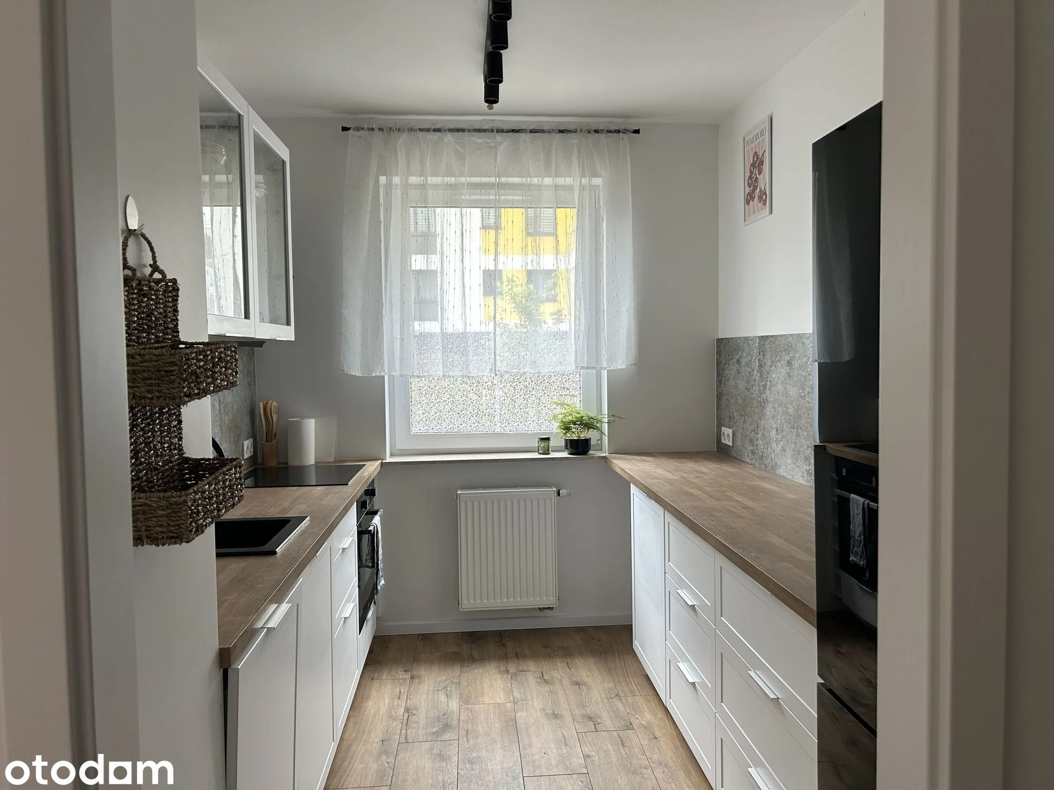 2- pokoje/ oddzielna kuchnia/ 49m2/ ogródek 80m2