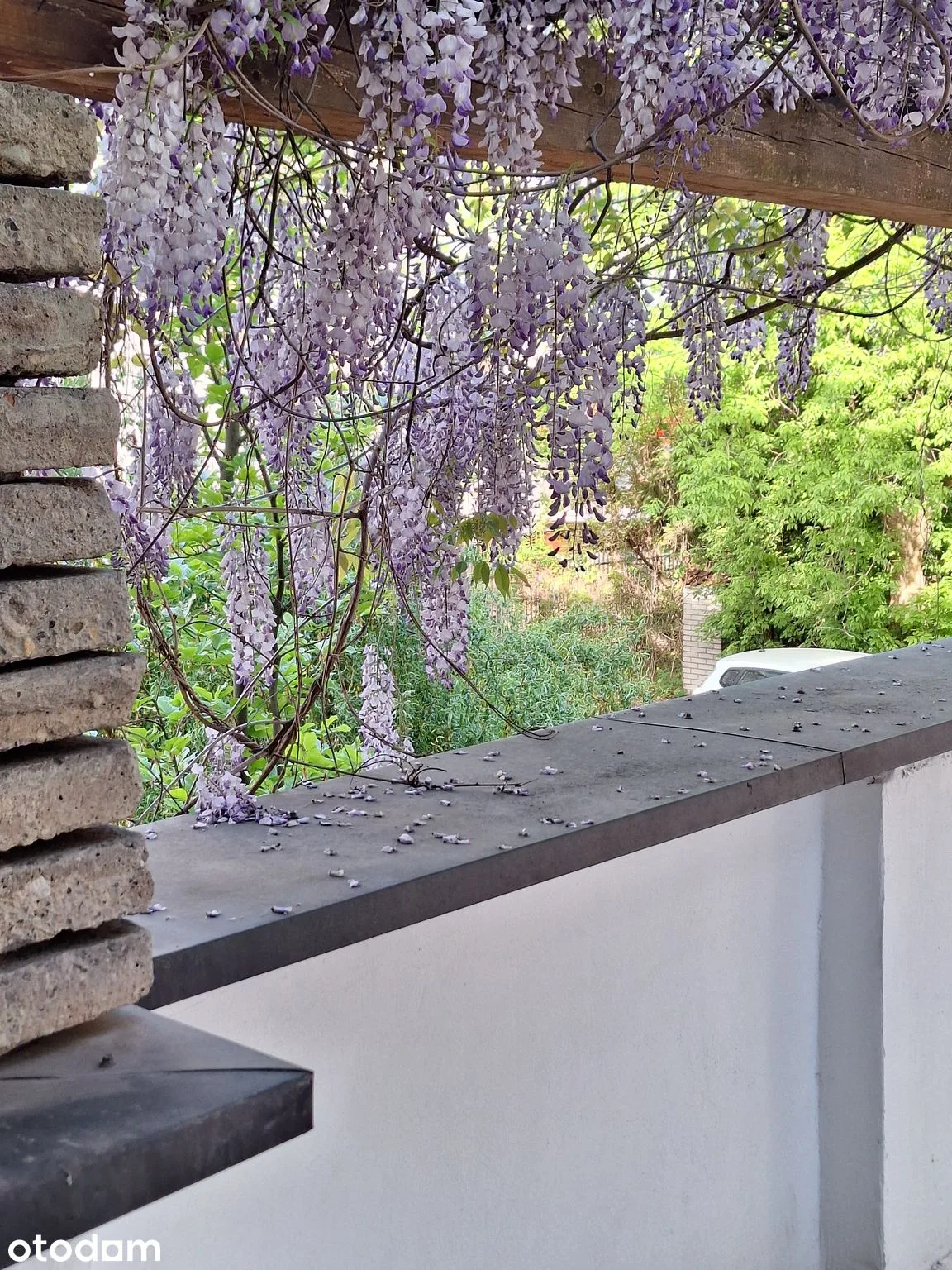 1-room apartment with 35 m² terrace