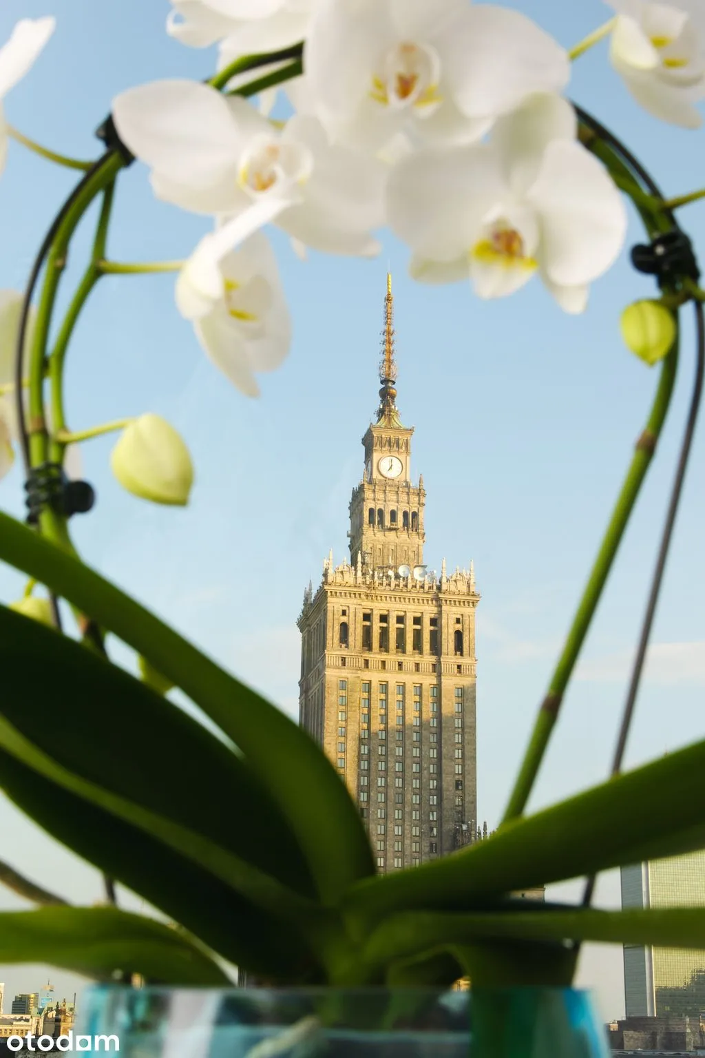 kawalerka / studio in the city center GREAT VIEW!!!
