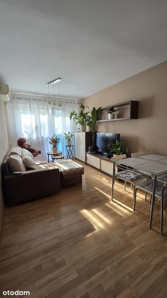 Mieszkanie 2 pokoje balkon