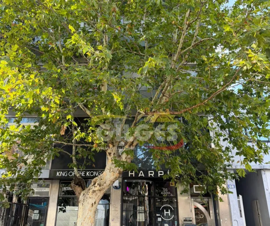 Kitnet com varanda em Ramos Mejía