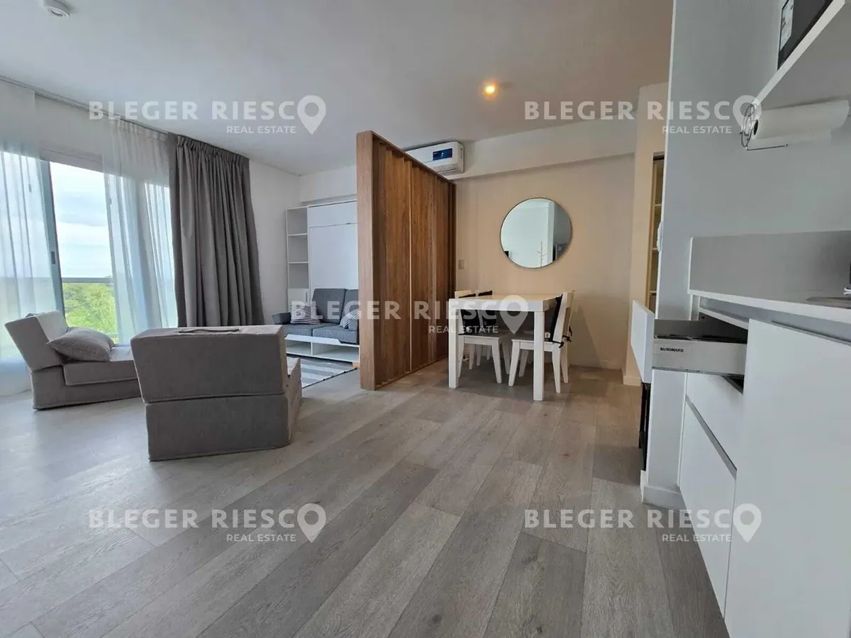 Furnished studio apartment in Tigre