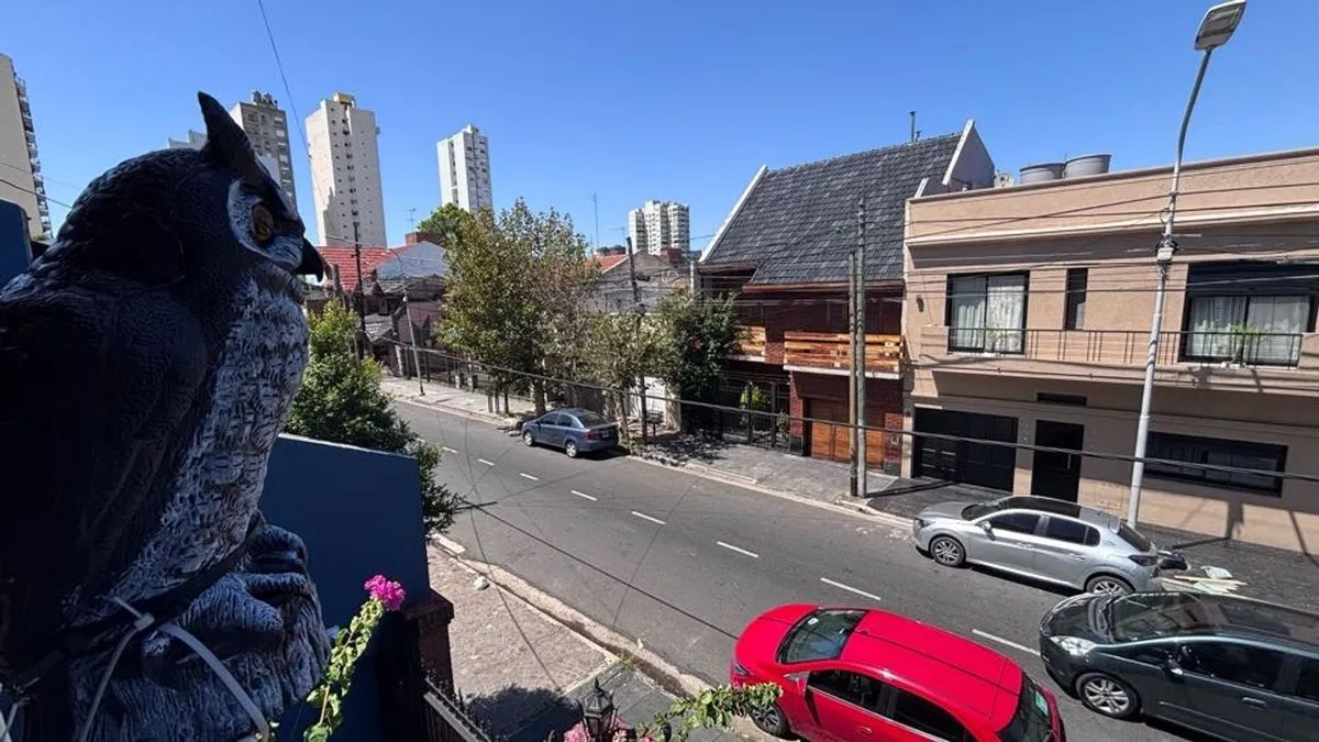 Четырёхспальная квартира с садом и бассейном в Avellaneda