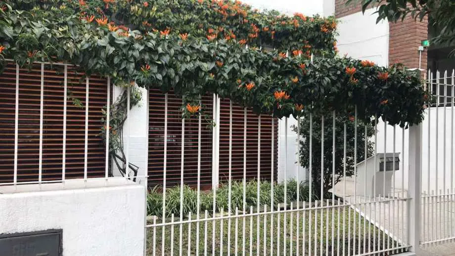 Chalet Ph En Alquiler En Quilmes Centro