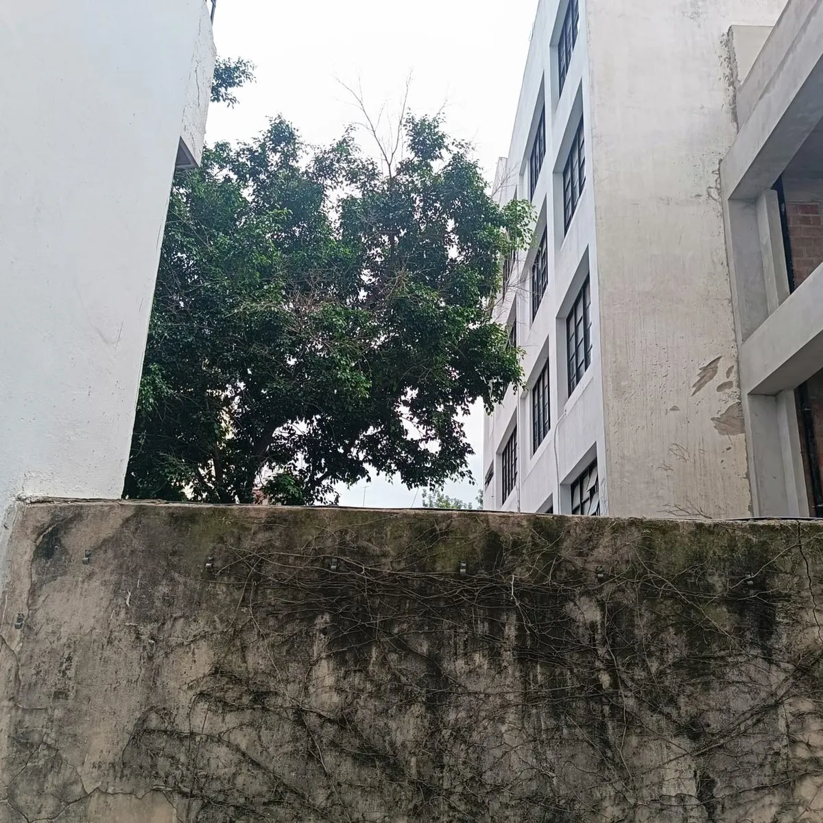 Квартира-студия рядом с Facultad de Medicina в Balvanera