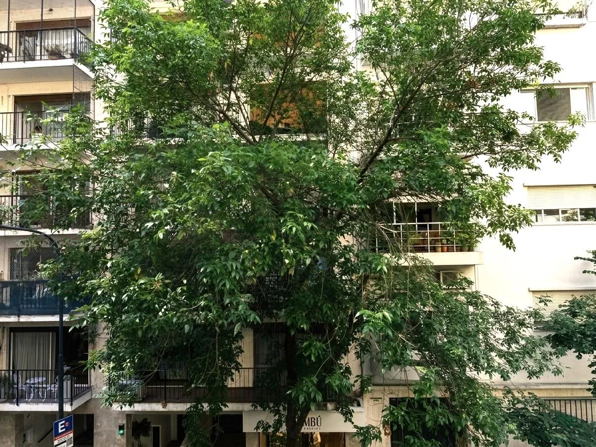 Полуэтажная квартира с 3 спальнями в Recoleta, с балконом
