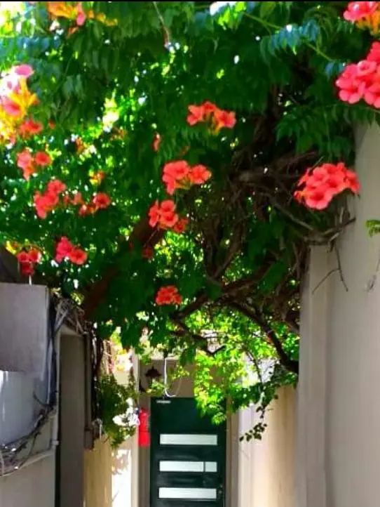 Monoambiente en alquiler en Flores