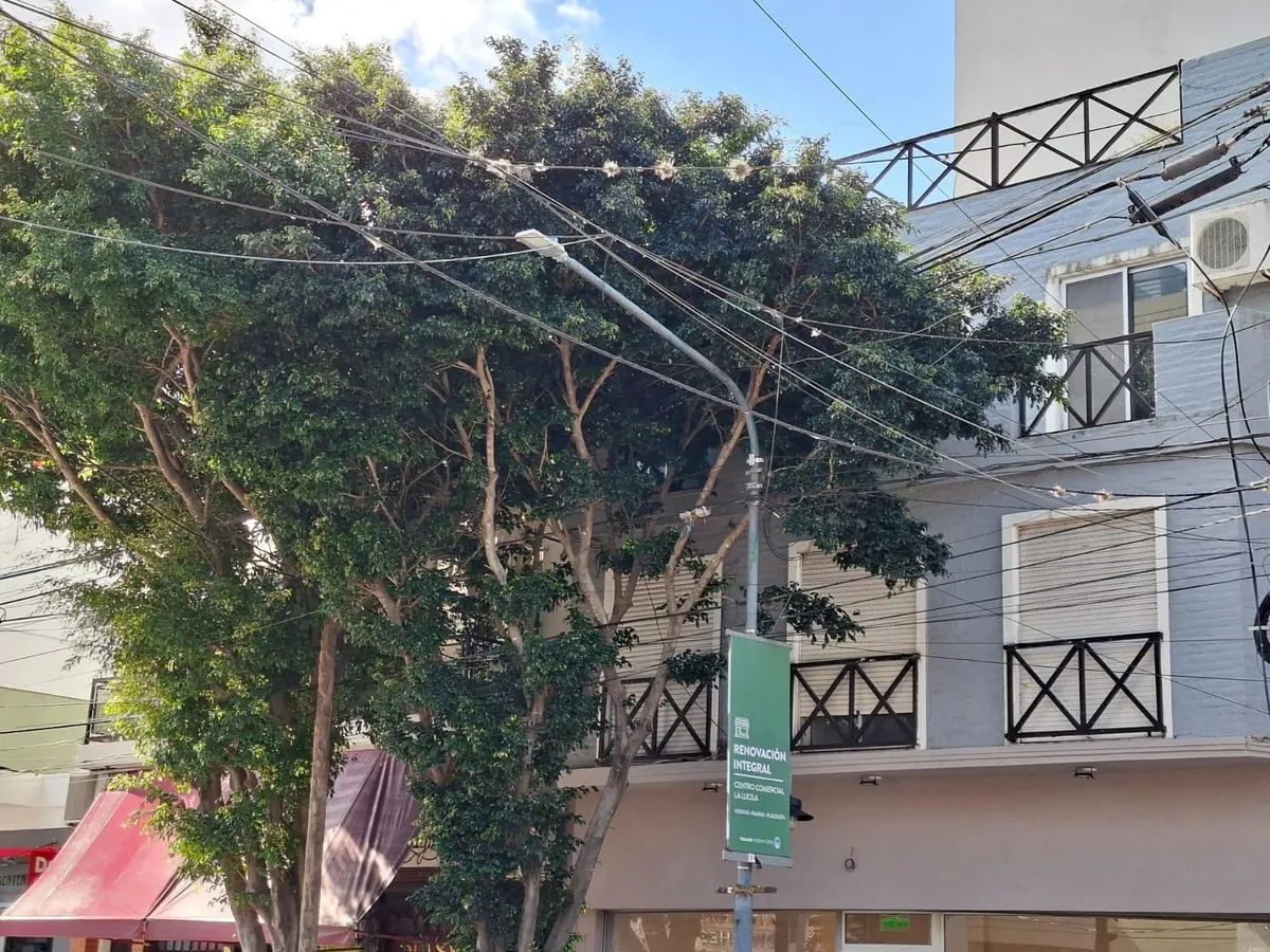 Departamento 3 Ambientes Sin Expensas