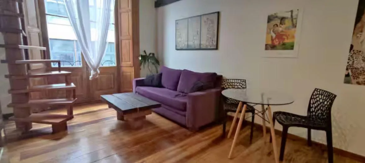 Departamento Dos Ambientes- San Telmo-alquiler Temporal
