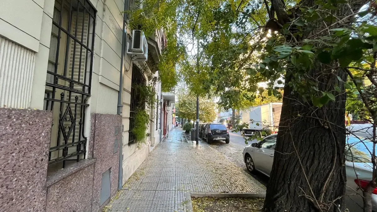 Alquiler Monoambiente En Palermo Soho Amplio, Luminoso Y Apto Profesional Con Balcón Al Frente