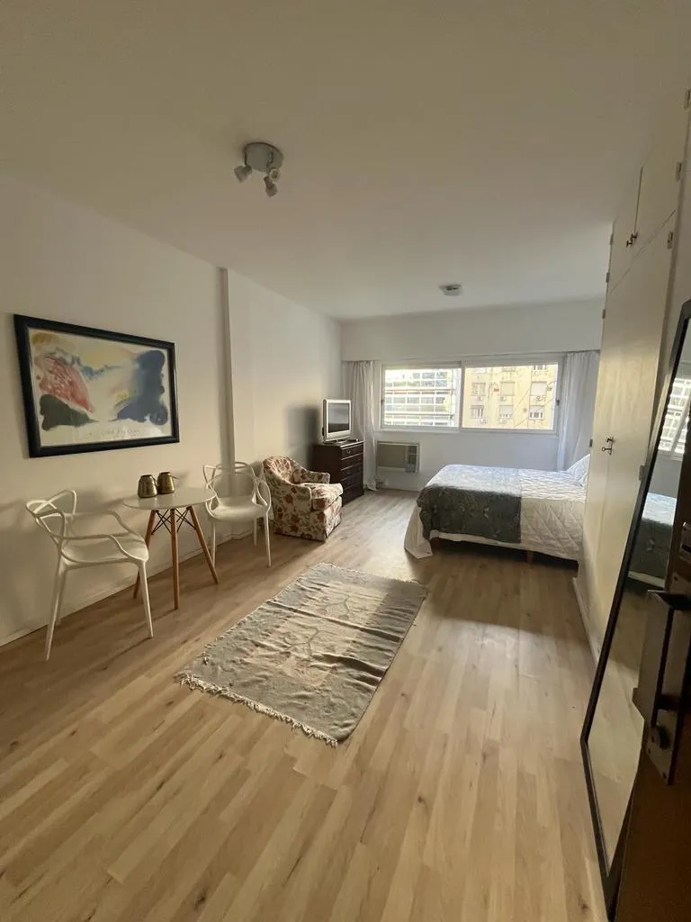 Furnished studio in Retiro