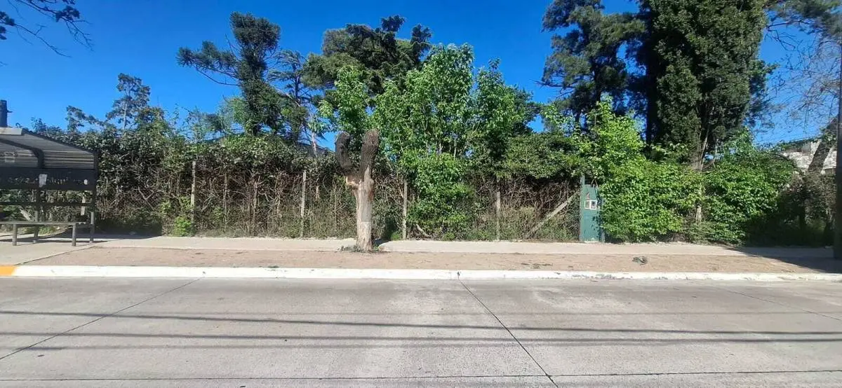 Terreno de 5000 m² para aluguel em Hurlingham na avenida