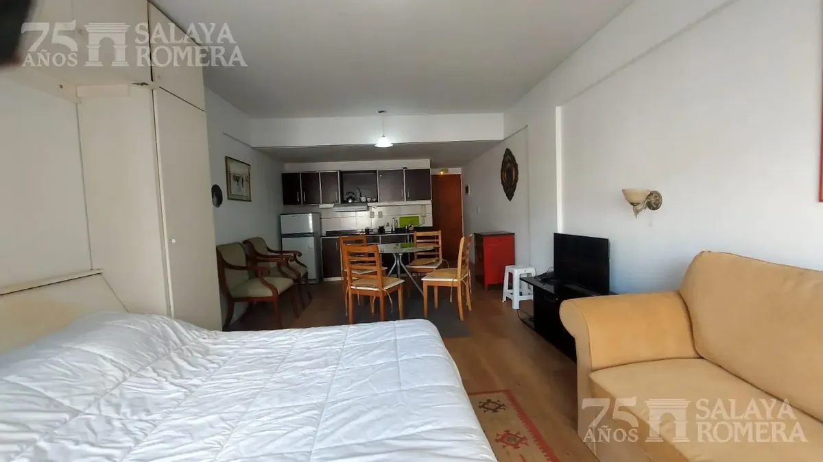 Furnished studio apartment in Recoleta