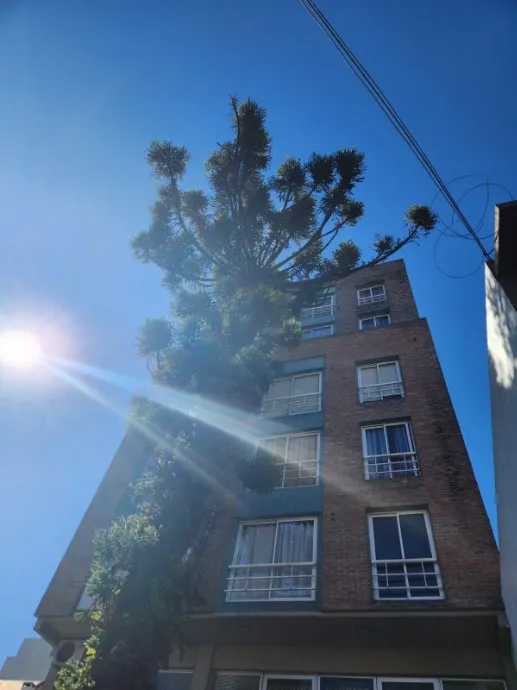 Kitnet para aluguel em Morón