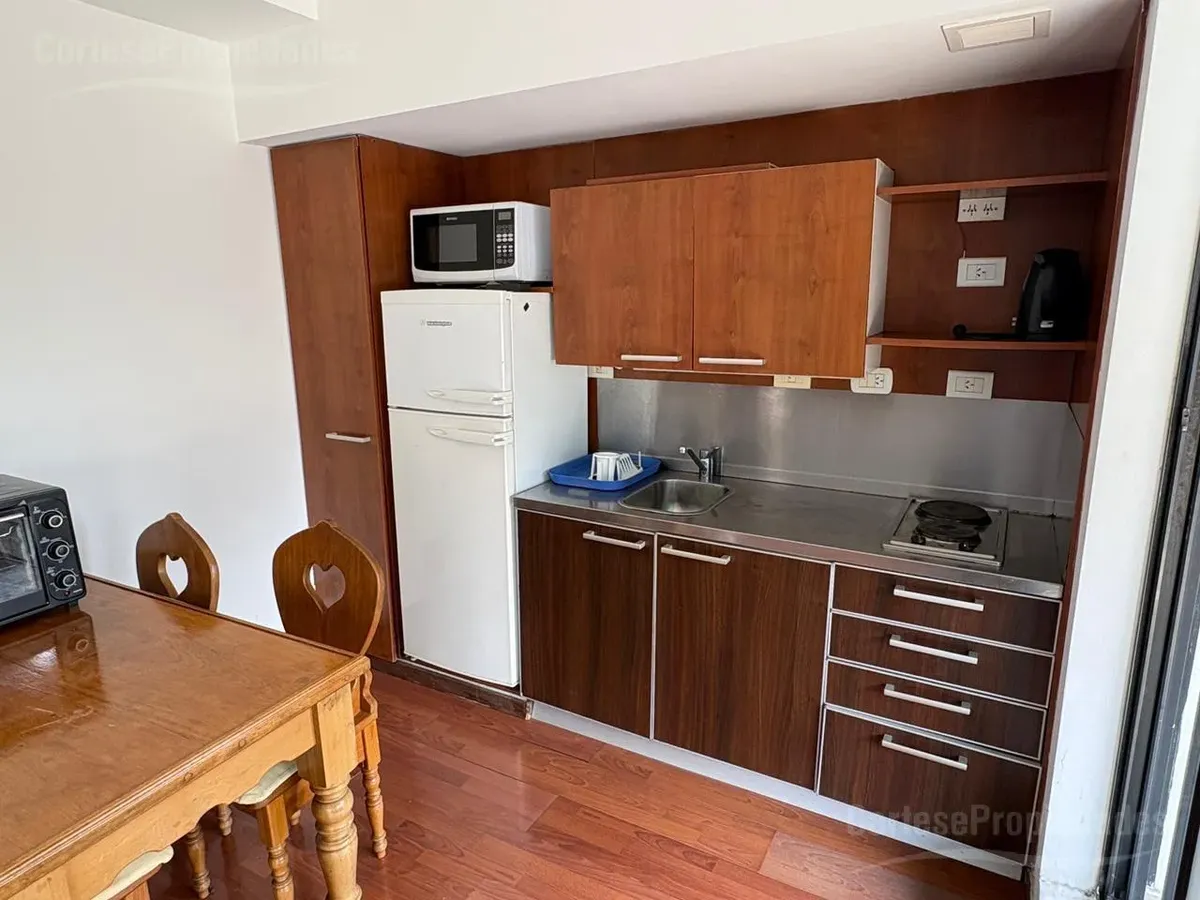 Furnished studio apartment with terrace balcony in Recoleta