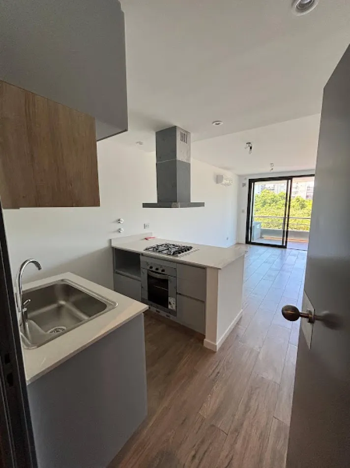 Квартира с 1 спальней без мебели с балконом и видом на парк в Saavedra