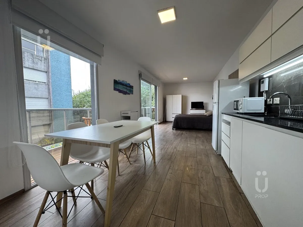 Furnished studio apartment in Almagro