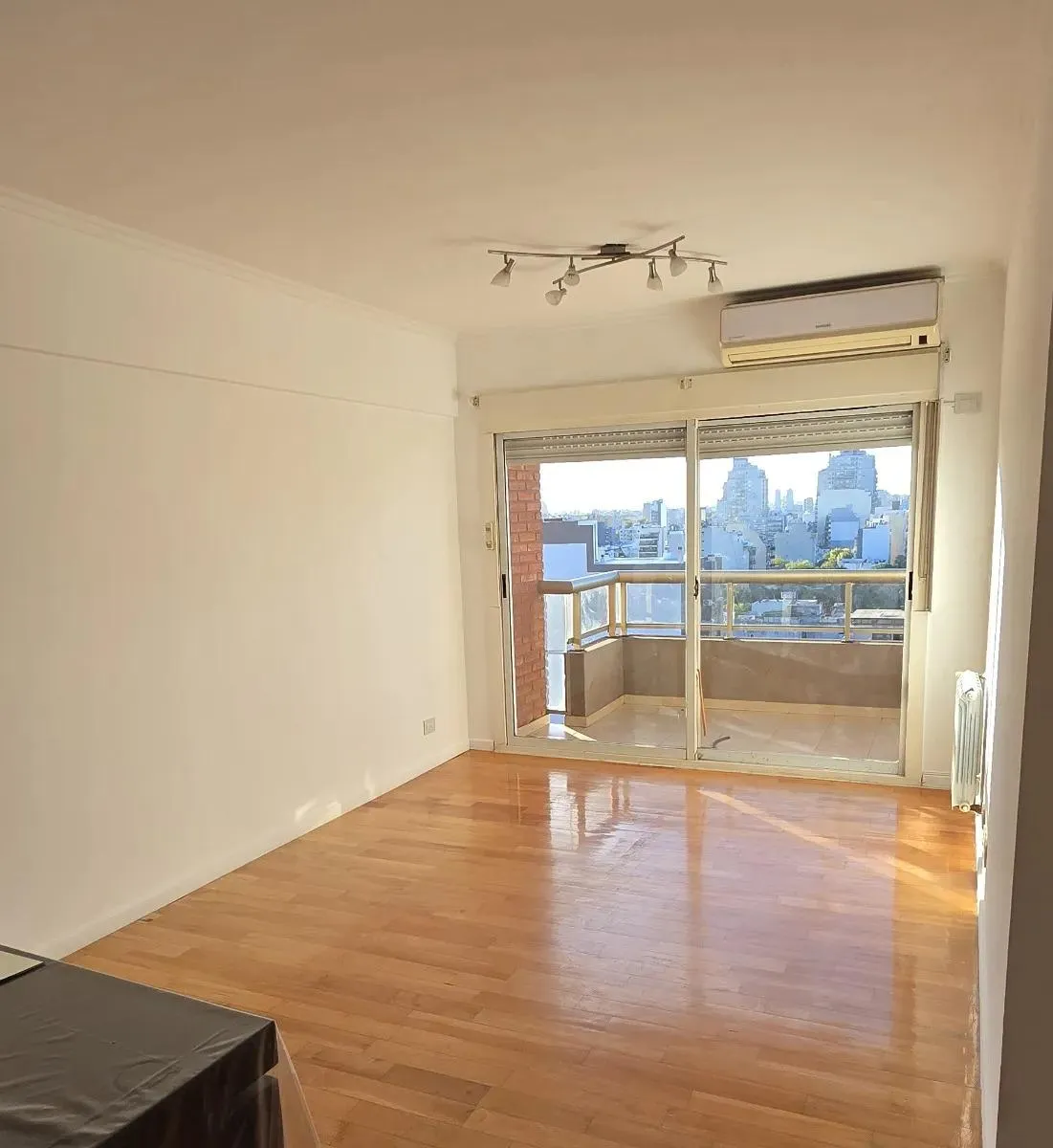 Two-bedroom apartment in Caballito