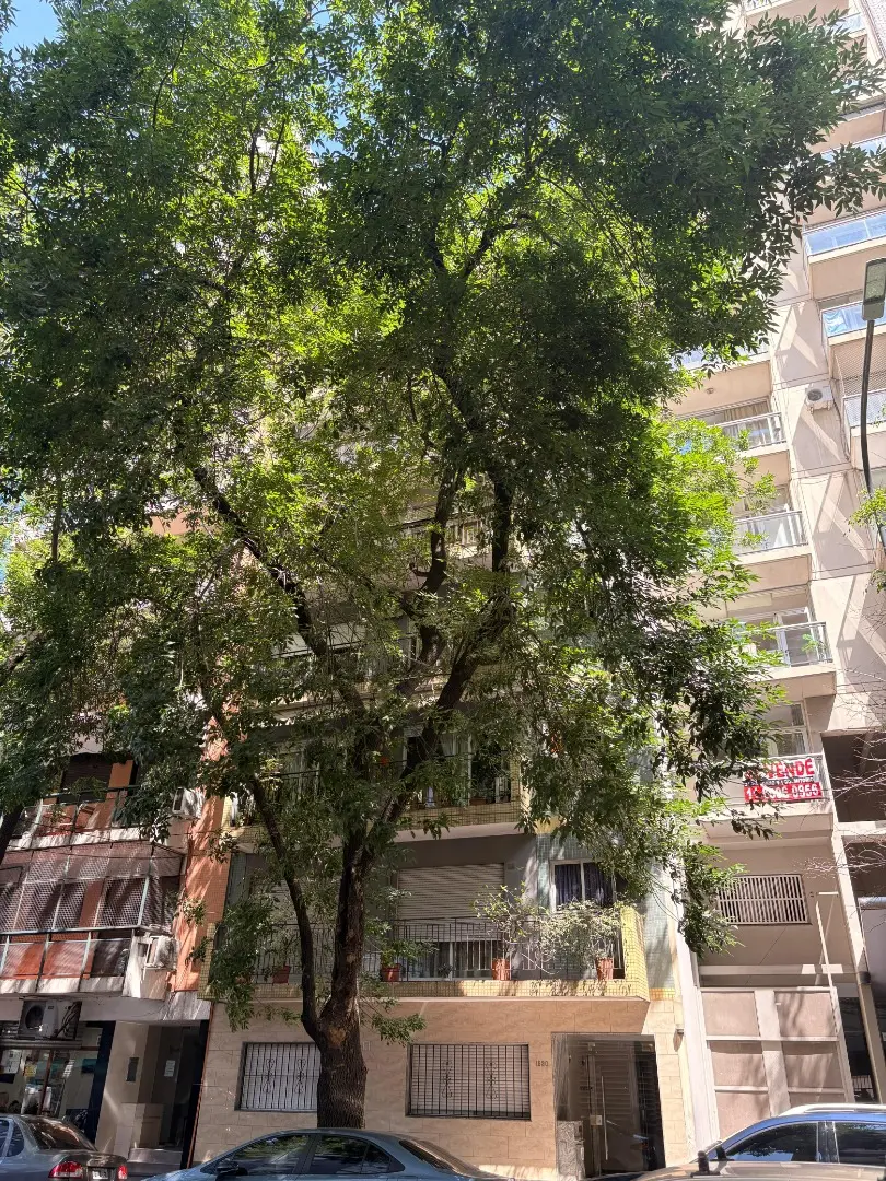 Two-room apartment in Belgrano
