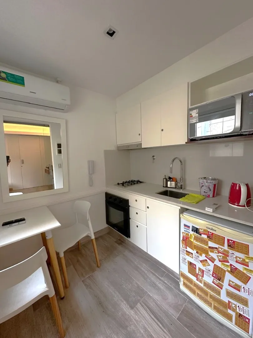 Fully refurbished one-bedroom apartment in Recoleta
